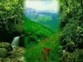 Hz  �mer efendimiz b�l�m 1  DR Nihat hatipoglu nun dilinden 
