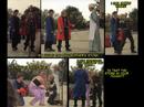 fangirlfilm-tribute-to-edward-elric-fma.html