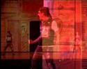 muestra 2006