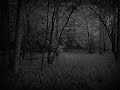 AevLord - The Apogee AevLord - The Apogee