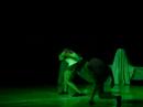 Festival de dan�a 2007 - Dan�art