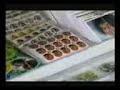 SAIBABA SECRET (TAMIL) 2