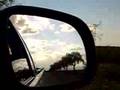 GOING UP THE COUNTRY - LUCA PRODAN (cover de Canned Heat)