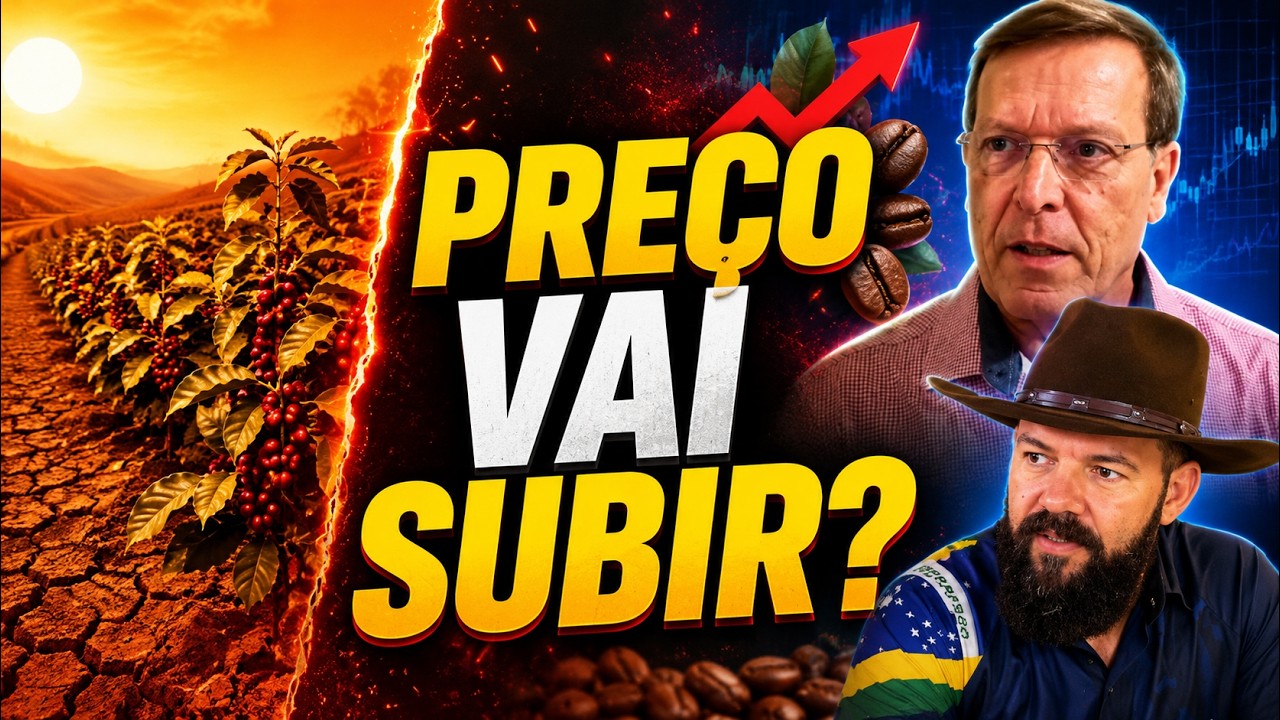 O que Esperar do Mercado do Café? Preços, Clima e Projeções para as Próximas Safras.