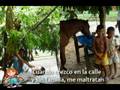 CAMPAÑA CONTRA LA VIOLENCIA