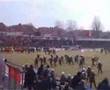 hallescher fc
