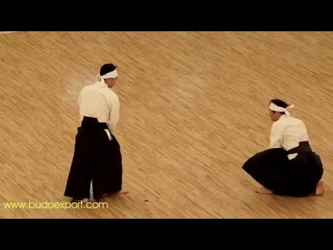 0 33th All Japan Kobudo (2010)