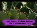 Hadith Qudsi 26
