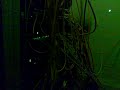 10082007015