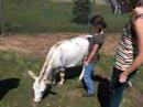 Claire and Donkey