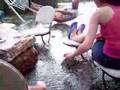 swimming beer