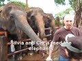 Elephant Corral - Thailand