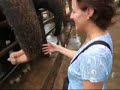 Elephant Corral - Thailand