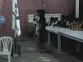 LSTC Singing Contest Entry #5