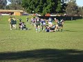 nedlands 4th grade nedlands 4th grade