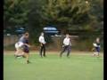 videos de Rhinos_in_Motion