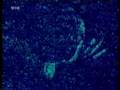 Tatort Intro