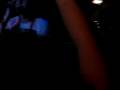 Hidden in Plain View-Halcyon Daze