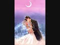 sailor moon sex/lovers
