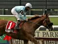 big brown does well in pre belmont workout