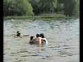 kartveli