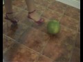 melon-crush.html