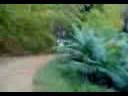 videos de Eu em... Momento Amy Wine House - Na Serra xP
