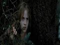 Draco/Hermione Love Story