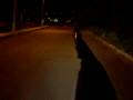 videos de Training 