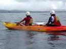 Byron Bay Go Sea Kayak June 9th Am Tour