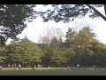 Tokorozawa Koukuu Park