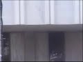 tia carrere & daniel ho perform at the 