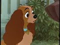 Lady and the Tramp I & II Music Video - Bella Notte