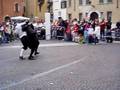 Tocati Sword Fight Demo Italy vs Scotland Part 1