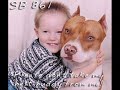 Breed specific legislation