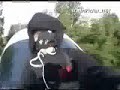cool trainrider film cool trainrider film