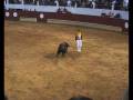 St Sever 2008 Concurso de recortes Guy Fagais