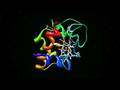 Facts Of Evolution - (Chapter 5 of 6)