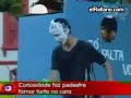 Bromistas brasile�os