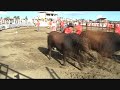 Sue and Beesley Running with the Bulls!