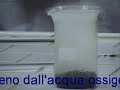 Azione del diossido di manganese sul perossido d\