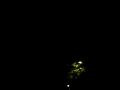 fuegos artificiales castelldefels
