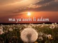 Adonai li, lo ira (w/ lyrics Hebrew English and Dutch) Letras em português na descrição