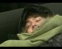 Click here to watch this video RÖDLUVAN