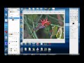 Sharpen Your Photo With Gimp