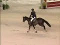 What horse sport do you do!? What horse sport do you do!?