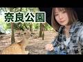 【女ひとり旅】奈良公園に行ってきた！！