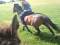 Ollie on quest and Abbie on Mary-lee
