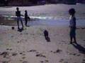 videos de Shedoon