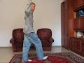 poppin ziben 2007